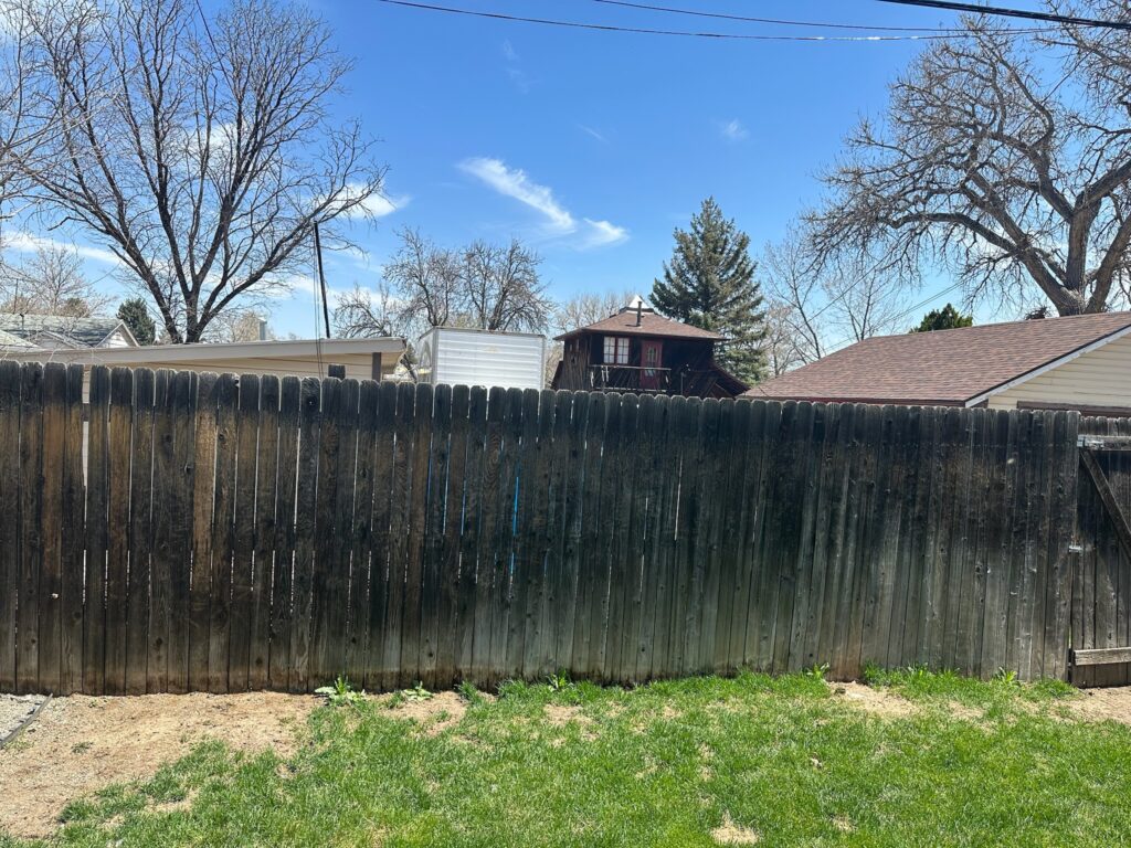 IMG 3466