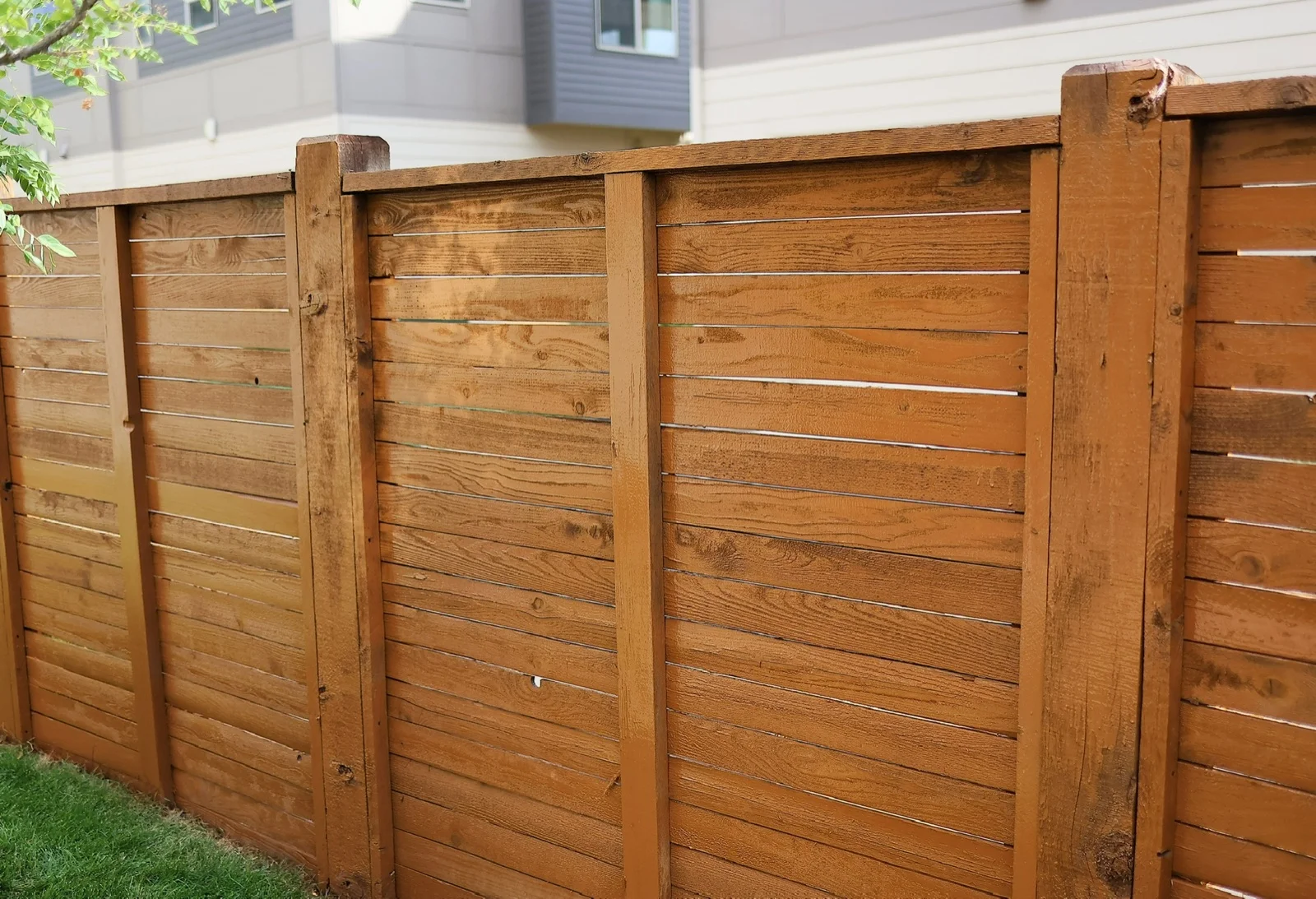 Close view of a horizontal cedar fence with a fresh golden stain